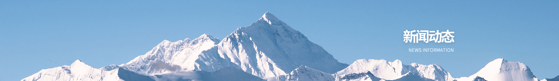 新闻动态